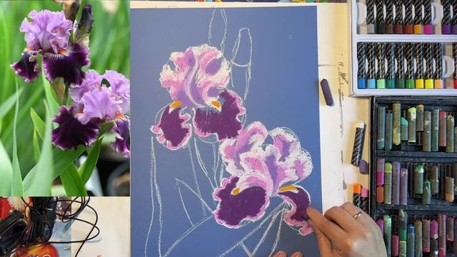 Рисуем ирисы масляной пастелью смотреть онлайн