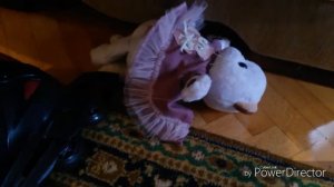 Типы кошечки Лили. Лили Cat и Настя Cat.??