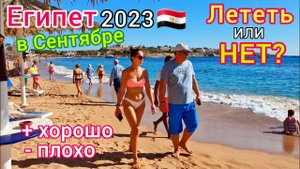 ОТДЫХ в Египте в СЕНТЯБРЕ: стоит ли ЕХАТЬ? Цены падают. Какой курорт выбрать? И снова АКУЛА!
