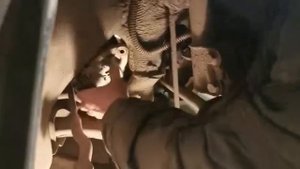 Чери тиго 2.4 снимаю генератор