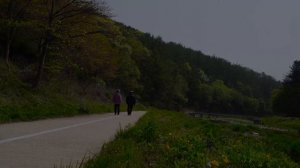 Великие люди говорят о смысле жизни. Цитаты великих людей