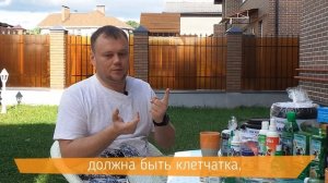 Готовый корм или натуралка? Какое питание для собаки полезнее