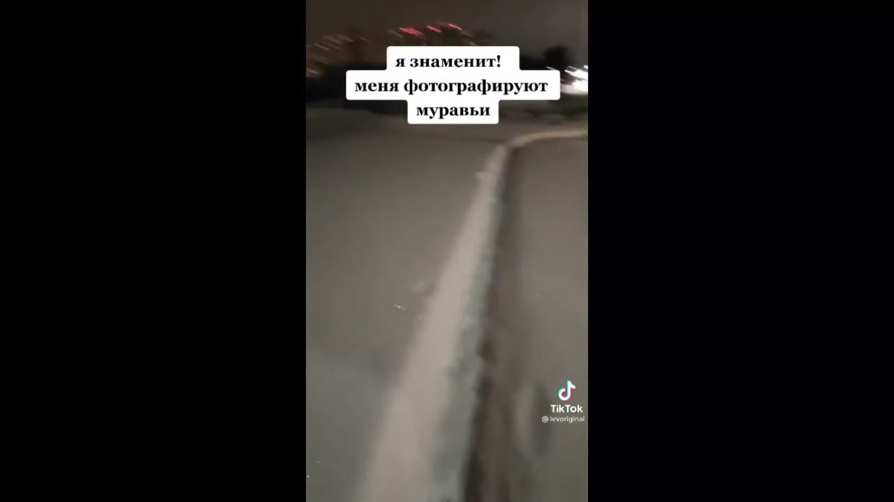 Иду домой но я знаменит походу, меня фоткают муравьи смотреть онлайн