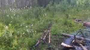 Павда, Свердловская область. Путешествие с центром "Аржаан". Места силы Северного Урала