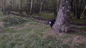 снусоед Российской натуральности