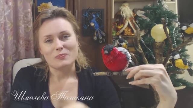 Презентация Мк 