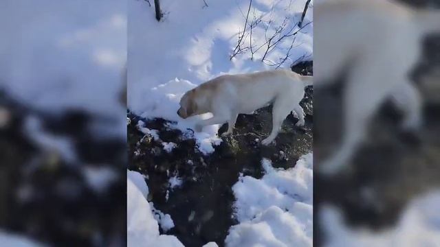 Зимние покатушки) скучаем по участку. Горячий ключ дорога на Поднавислу. смотреть онлайн