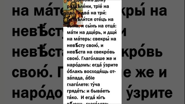 Евангелие дня 24 ноября 2021 года