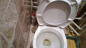 Посторонний предмет в унитаза