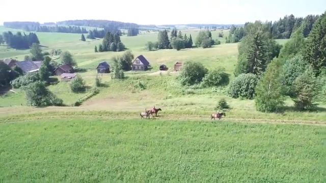 Конный клуб "Золотая подкова" Удмуртия. смотреть онлайн