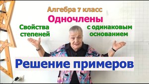 Умножение, деление, возведение одночленов в степень. Свойства степеней с одинаковым основанием.