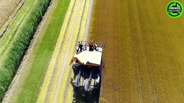 The Most Modern Agriculture Machines That Are At Another Level , How To Harvest Onions In Farm ▶8