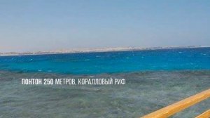 Tropitel Sahl Hasheesh 5* Хургада. Египет.