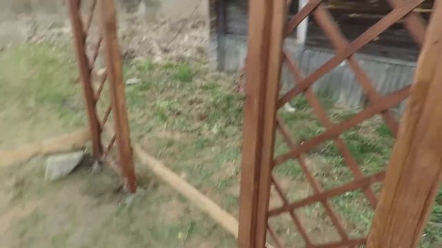 Пергола | установка и обзор