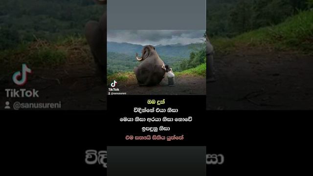 July 20, 2022(5) смотреть онлайн