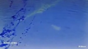 #VIDEO1 Загадочные существа в озерах Китая