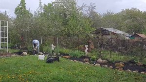 ПОТРАТИЛА ВСЕ ДЕНЬГИ В САДОВОМ ЦЕНТРЕ/НОВЫЕ ХВОЙНЫЕ И КУСТАРНИКИ ДЛЯ МИКСБОРДЕРА