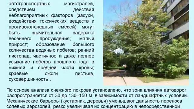 Влияние противогололедных реагентов на растительность вид проекта