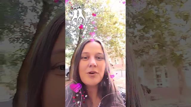 Кавер на песню если с другом вышел в путь
