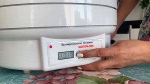 Обзор сушилки Волтера 1000. Торговый дом Илона в Абакане.