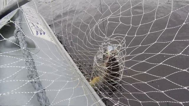 Воблер свимбейт тонущий до 2.5 м. (10см, 17,4г.) Воблер 8 сегментов / Воблер на щуку смотреть онлайн