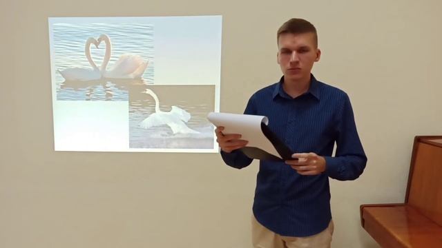 Интернет-акция "От чистого города - к здоровой экологии" (запись) смотреть онлайн