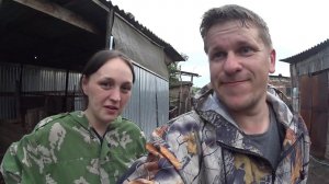 Купили КРС // Купили тёлок // ЗачОтные тёлочки)))