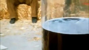 Укрощение строптивого   танец на винограде
