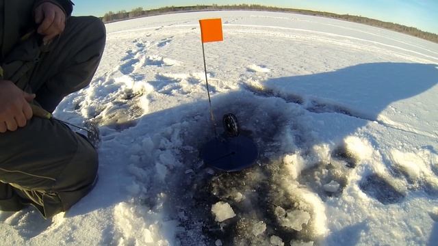 Зимняя рыбалка. Яузское водохранилище.