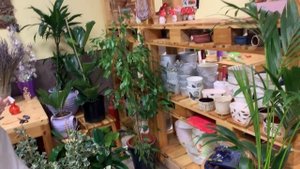 Цветочный магазин - место, где продают цветы или особая атмосфера важна? Обзор моей мастерской.