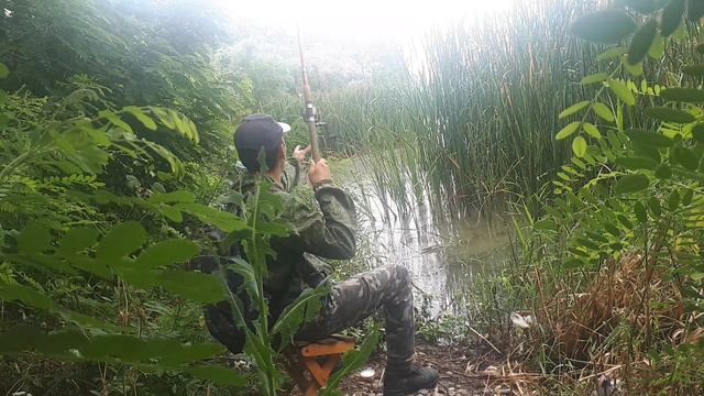 Рыбалка в диких местах. Ловля на поплавочную удочку