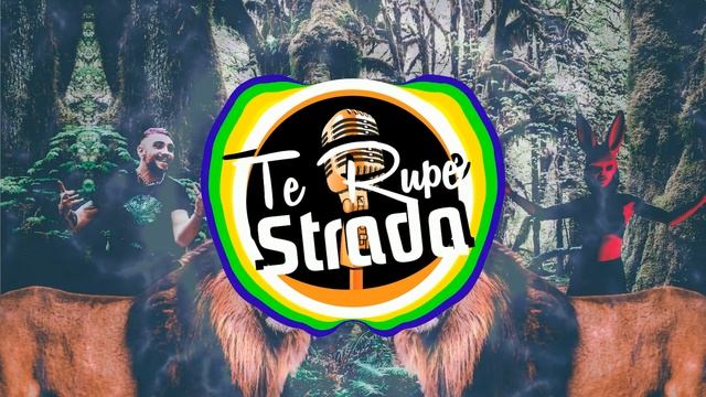 Nane - Te Rupe Strada! (BEST OF NANE MIX | HIP HOP) смотреть онлайн