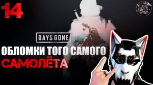 Days Gone #14 Нужно затырить медикаменты с самолёта