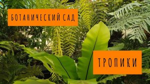 БОТАНИЧЕСКИЙ САД | ТРОПИКИ | Июнь 2024 | Санкт-Петербург