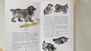 Читаем детям вслух. Е. Чарушин "Томка". Путилковская сельская библиотека