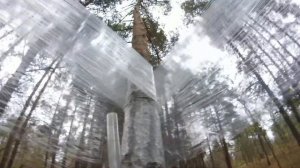 ДОМ НА ДЕРЕВЕ ИЗ ПЛЕНКИ - DIY!