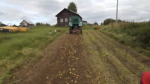 Уборка картофеля копалка швырялка т40