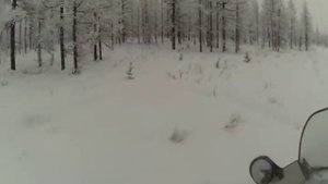 Охота на оленя зимой