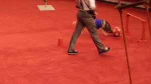 ВЛОГ/МЫ В ЦИРКЕ/СУПЕР! НАШ ПАПА ЛЕТАЕТ НАД АРЕНОЙ ЦИРКА