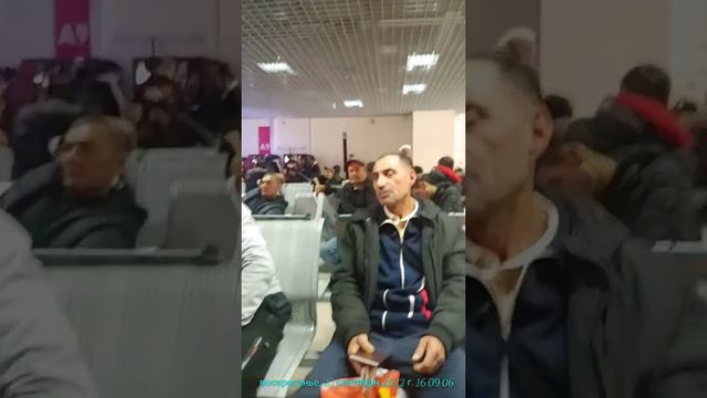 Фмс.сахарова.(хамма узини ташвиши билан.)тинчлик омонлик смотреть онлайн