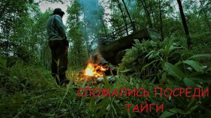 КОРМИМ КОМАРОВ В ТАЙГЕ, ОТОРВАЛО КОЛЕСО. БЕСЕДКА ПОЧТИ ГОТОВА.