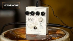 Electro-Harmonix Mel9 Tape Replay Pedal | Reverb Demo Video