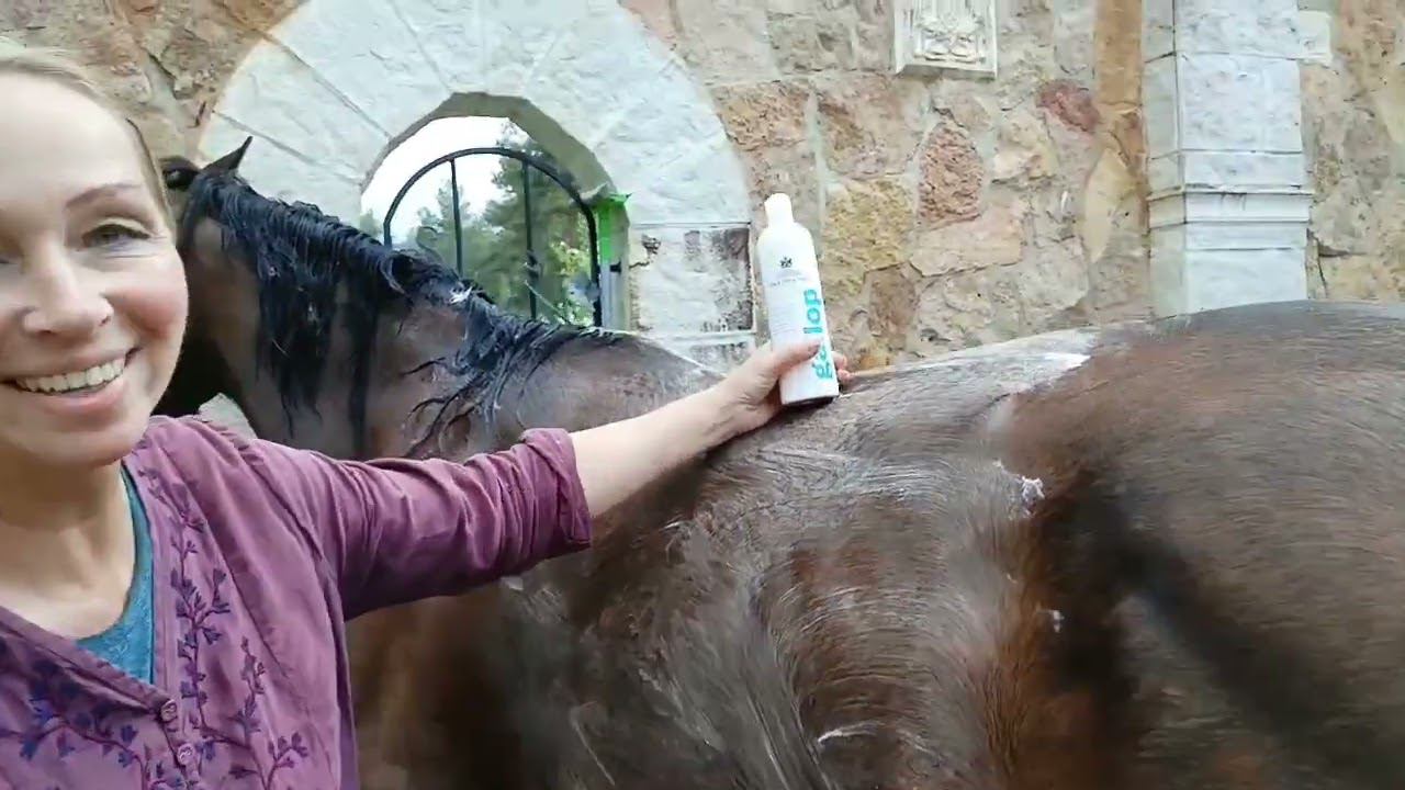 Быт питомника САО. Что обычно остаётся за кадром..... смотреть онлайн