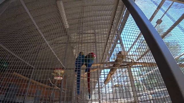 Липецк зоопарк ч.5 смотреть онлайн