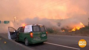 В мире. Рекордные пожары. Доброе утро. Фрагмент выпуска от 15.03.2019