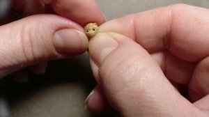 Курс по вязанию мини игрушек крючком