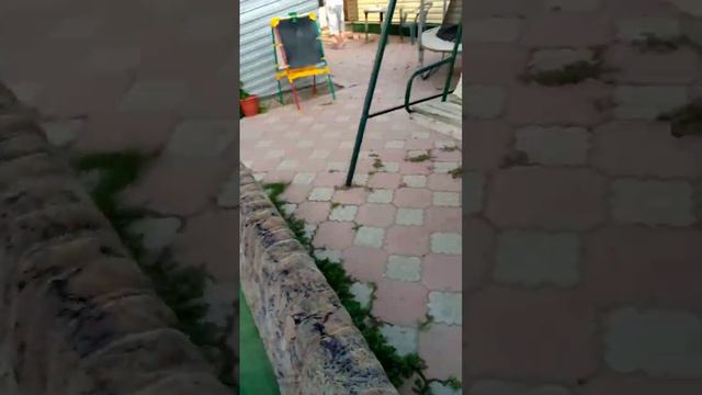 Room Tour по съёмной комнате в Соль-Илецк❤Отдых💤/смотри в описание❤ смотреть онлайн