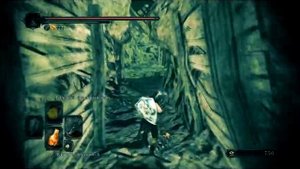 Dark souls 2 SOTFS : Медаль света. Оффлайн фарм для ковенанта Наследники Солнца