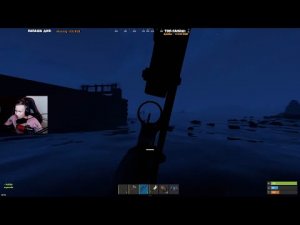 ЧИЗИ НАКАЗАЛ ДОРКЕМПЕРОВ В РАСТ rust