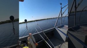 Дуплеты, ловим по два!? Летняя рыбалка на оз. Чаны. Карась, сазан, окунь и язь.